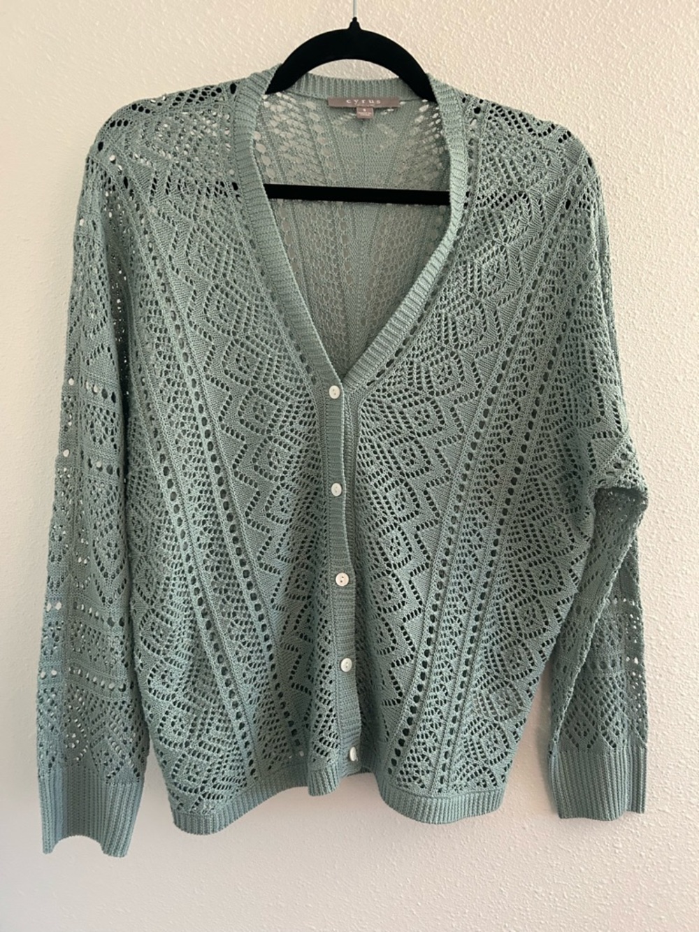 Cyrus Mint Green Openwork Button-Front Cardigan